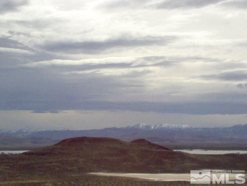 Property Photo:  Apn 01565101  NV 89429 