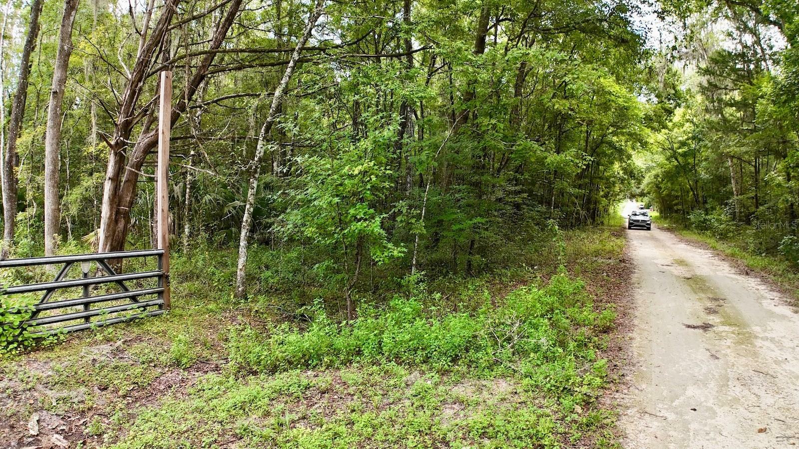 Property Photo: SW 14th Street FL 34481