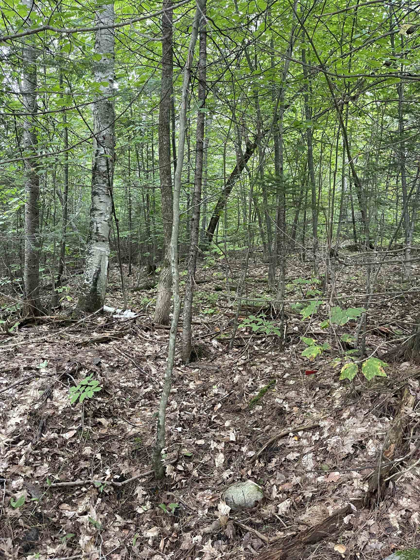 Property Photo:  Lot 10-73 Ayers Road  VT 05079 