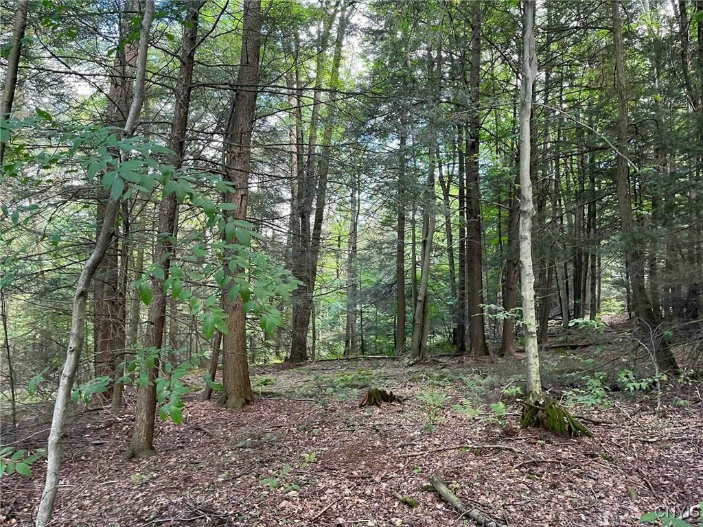 Property Photo:  7000 Pokey Moonshine Road  NY 14572 