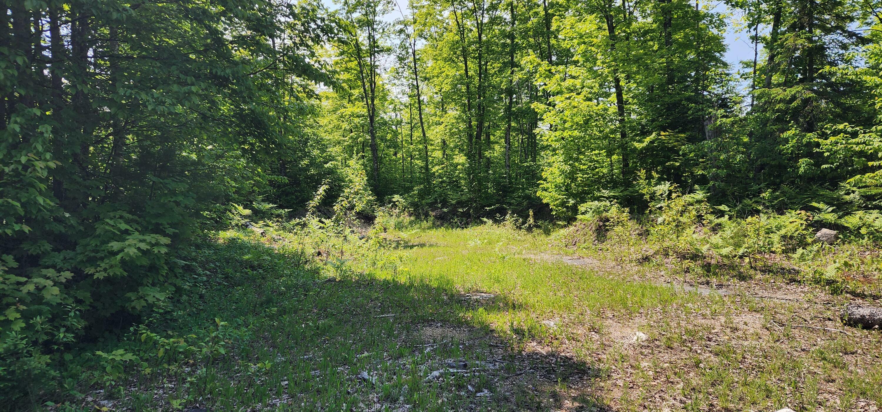 Property Photo: 3625 E Simmons Rd MI 49745