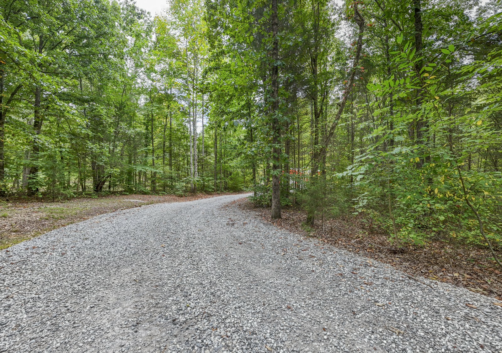 Property Photo:  197 Freeland Rd  TN 37148 