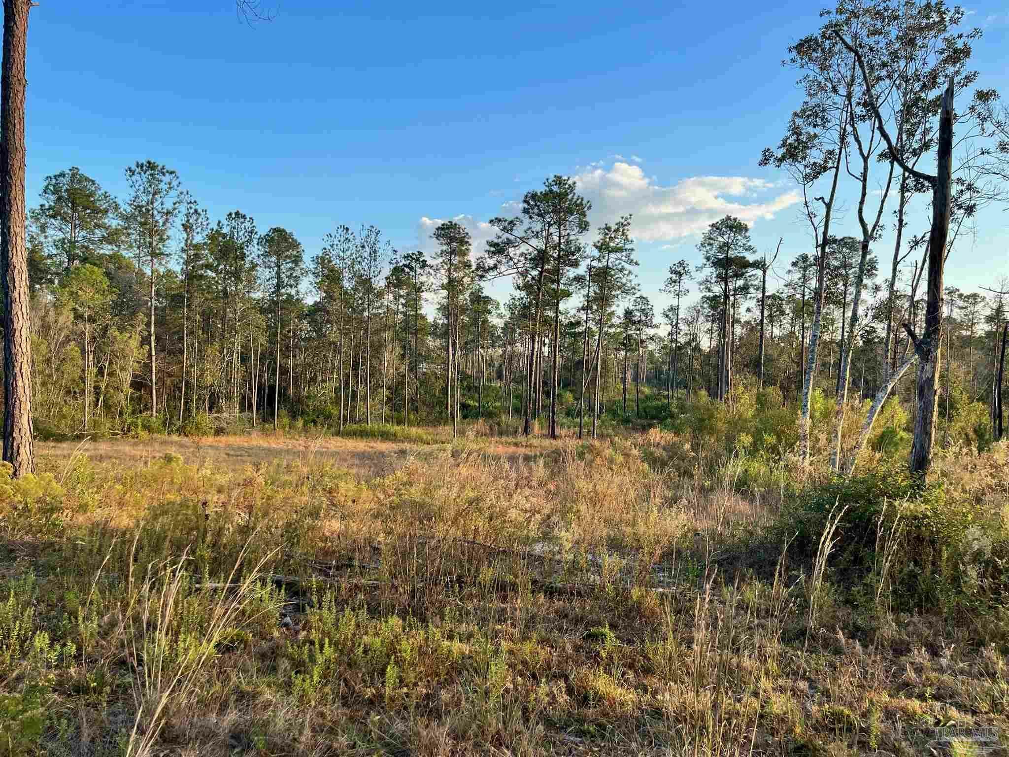 Property Photo:  2046 Ten Mile Rd  FL 32571 