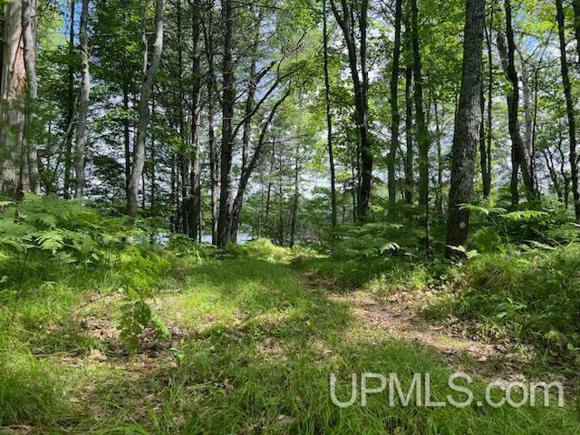 Property Photo:  00 S Moon Lake Road  MI 49969 