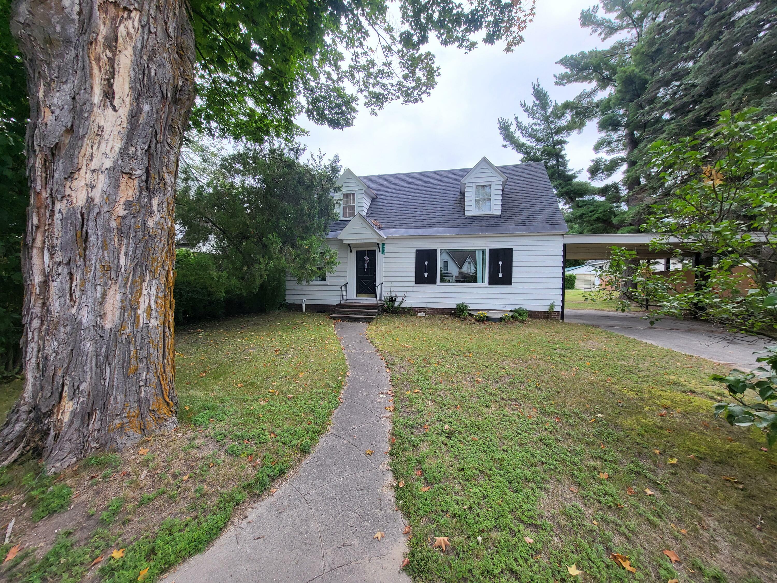 Property Photo:  10858 Main Street Street  MI 49640 