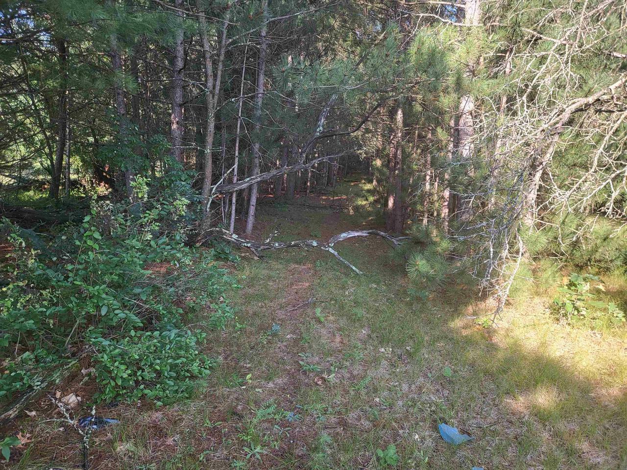 Property Photo:  Lot 3&4 West 13th Lane  WI 53965 