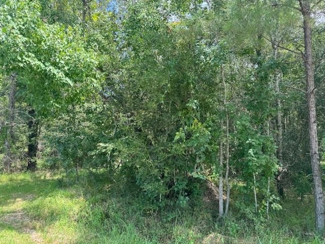 Property Photo:  000 Pinewood Lot 18  TX 77659 