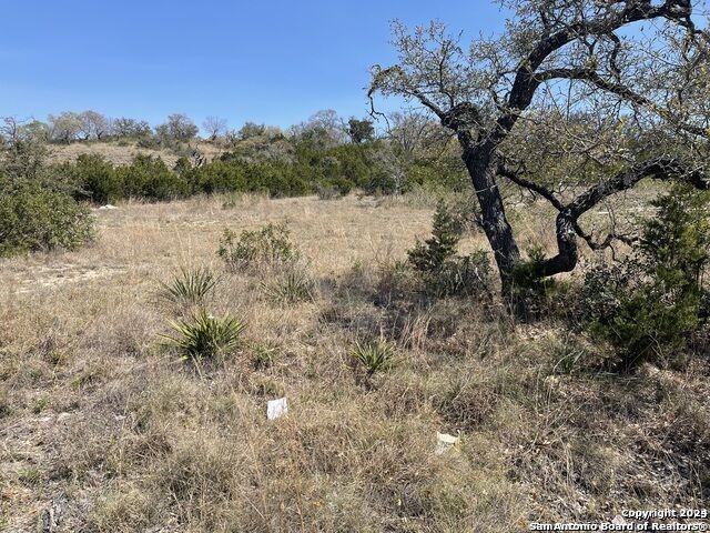 Property Photo: 23111 Norfolk Cyn TX 78255