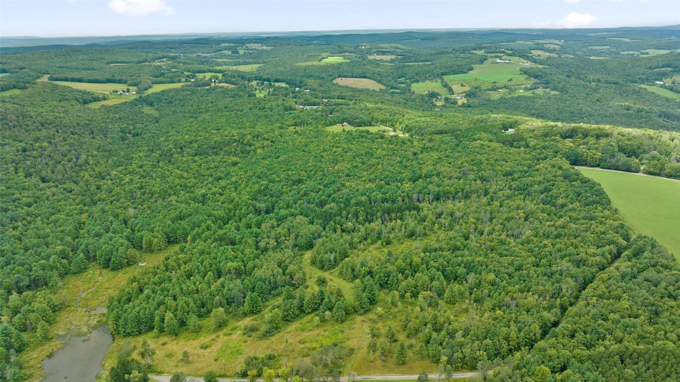 Property Photo: 219 Martin Hill Road NY 13787