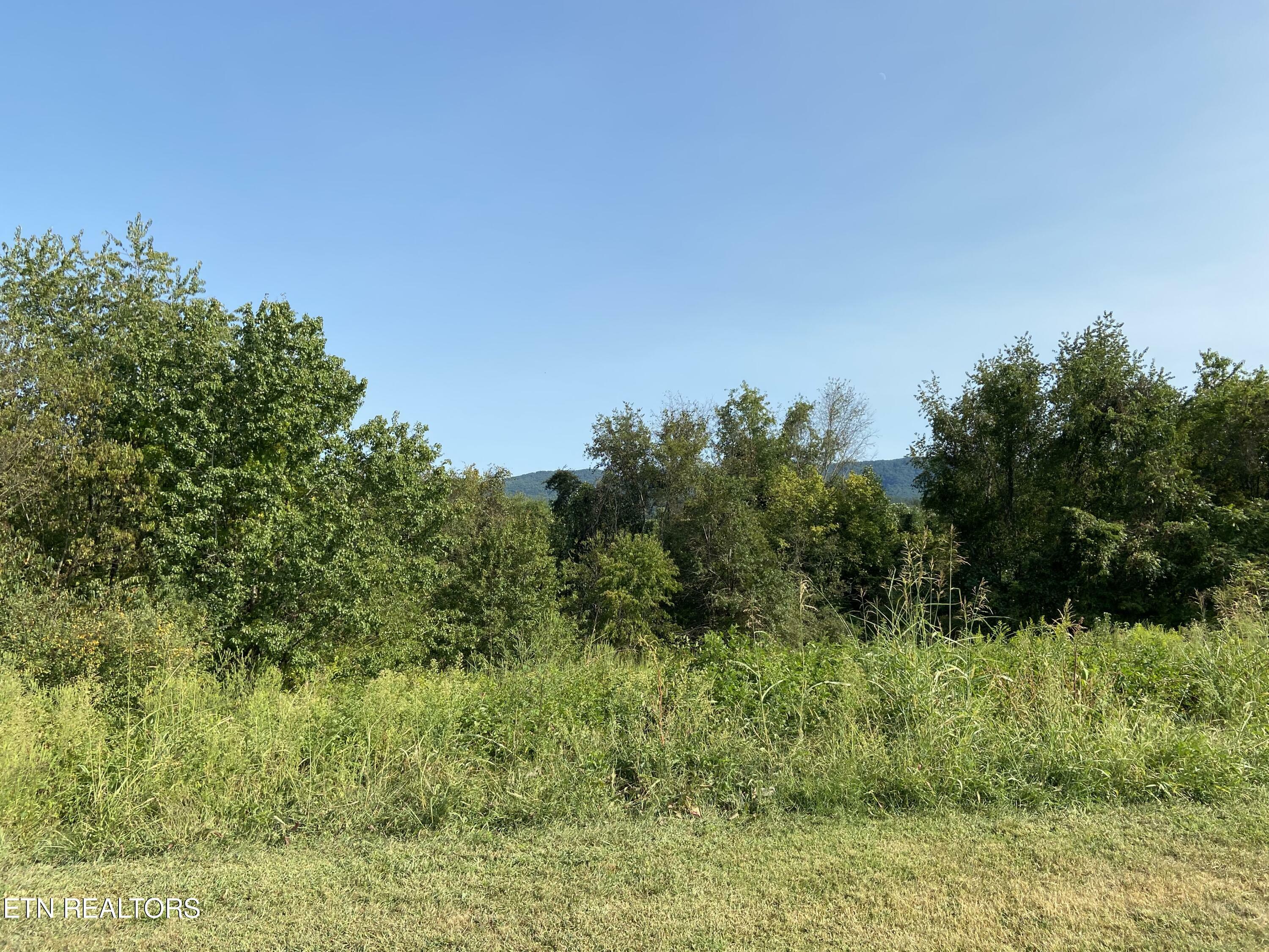 Property Photo:  0 Tuckaleechee Pike  TN 37804 