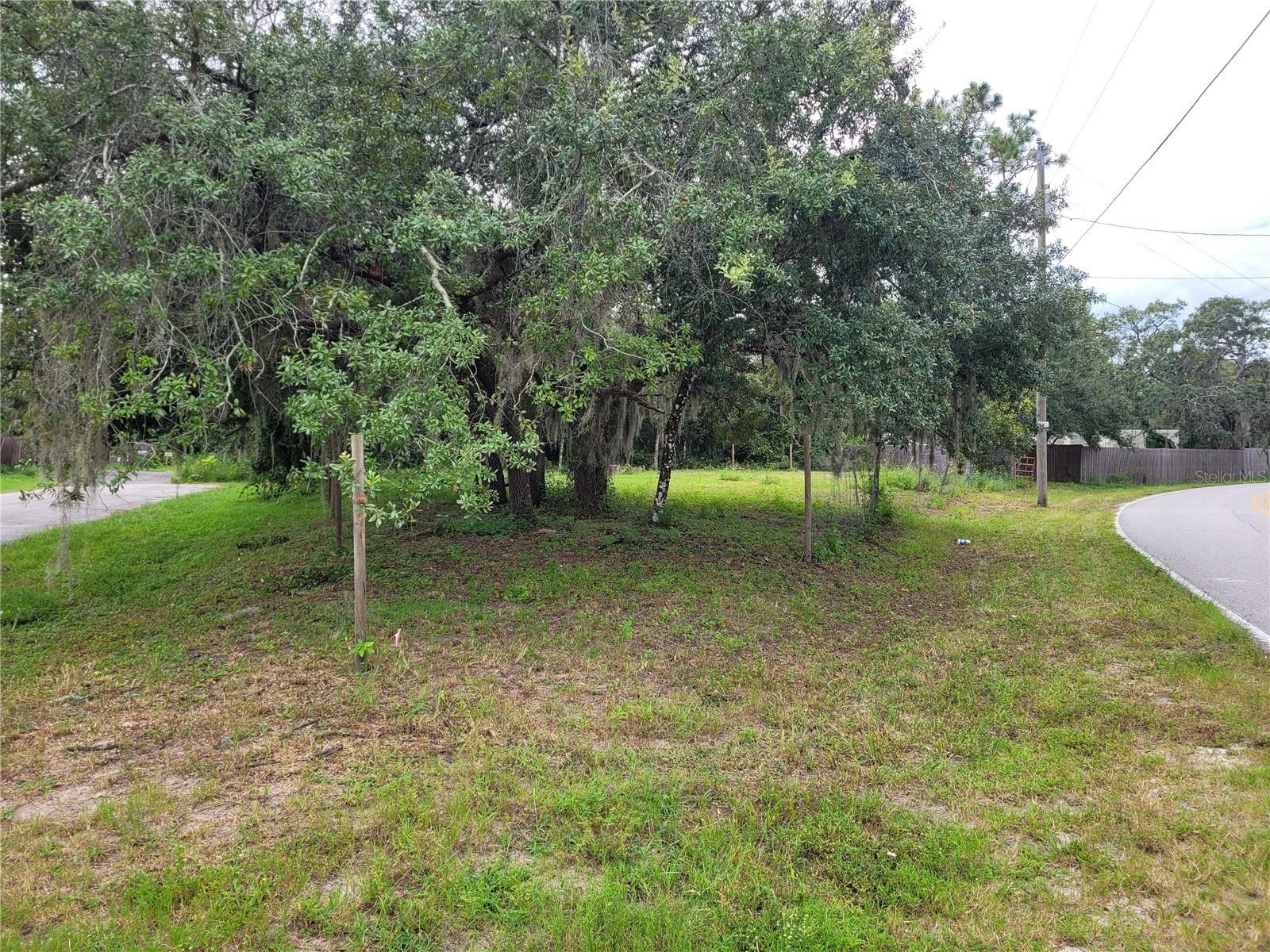 Property Photo:  9731 Sholtz Street  FL 34654 