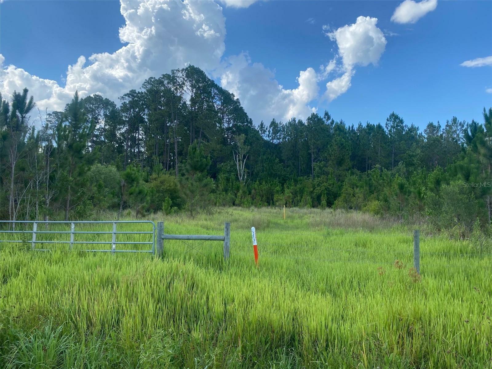 Property Photo:  Hwy 474  FL 34711 