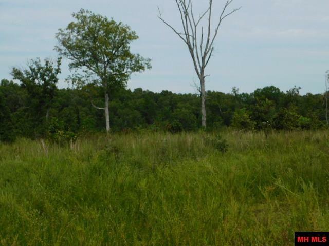 Property Photo: 001-00008-000 Rodney Road AR 72519