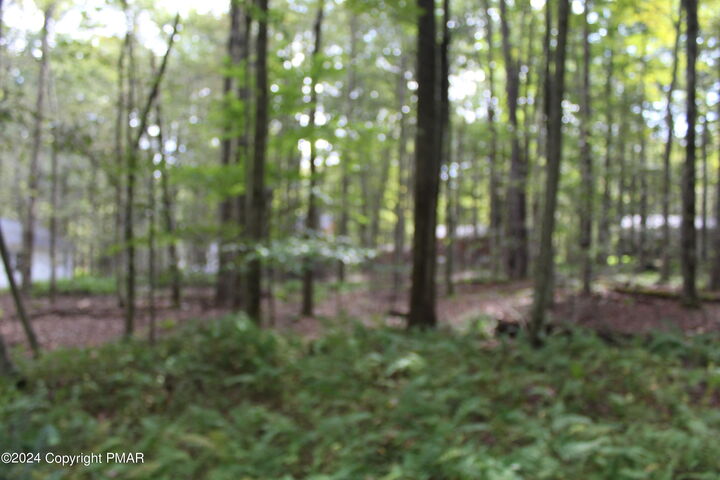 Property Photo:  Muskwink Dr1  PA 18347 