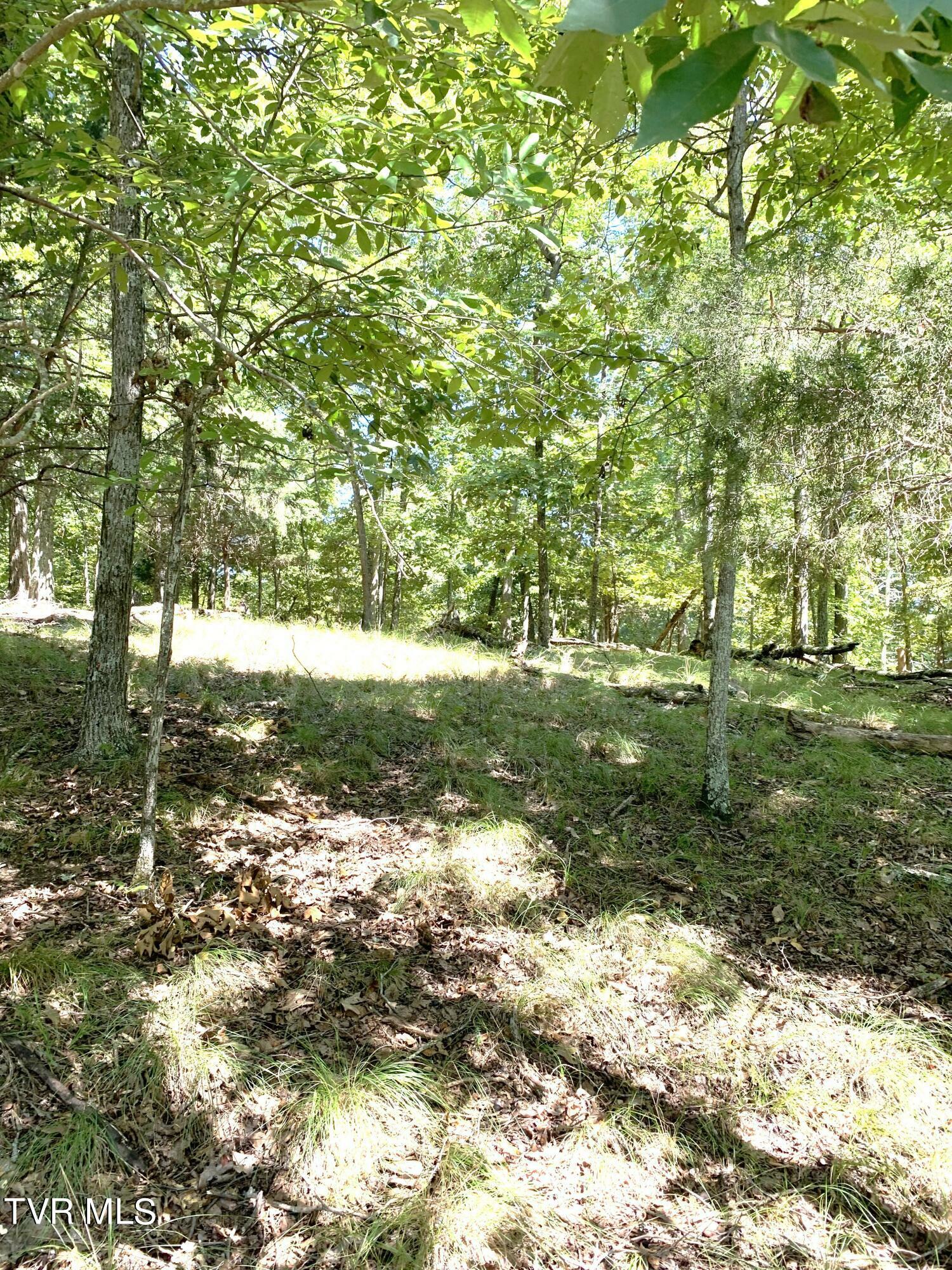 Property Photo:  1433/1437 Echota Lane  TN 37811 