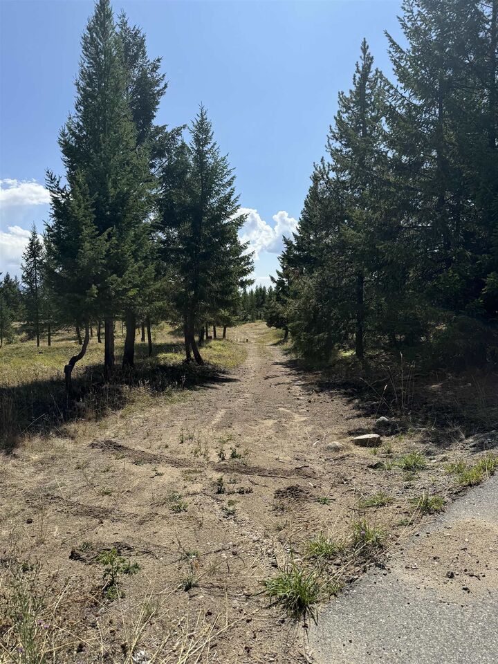 Property Photo: 891 Raven Hill Road BC V3H 1V6
