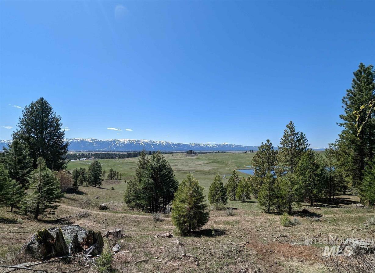 Property Photo:  Tbd Gold Fork Rd (374 Acres)  ID 83615 