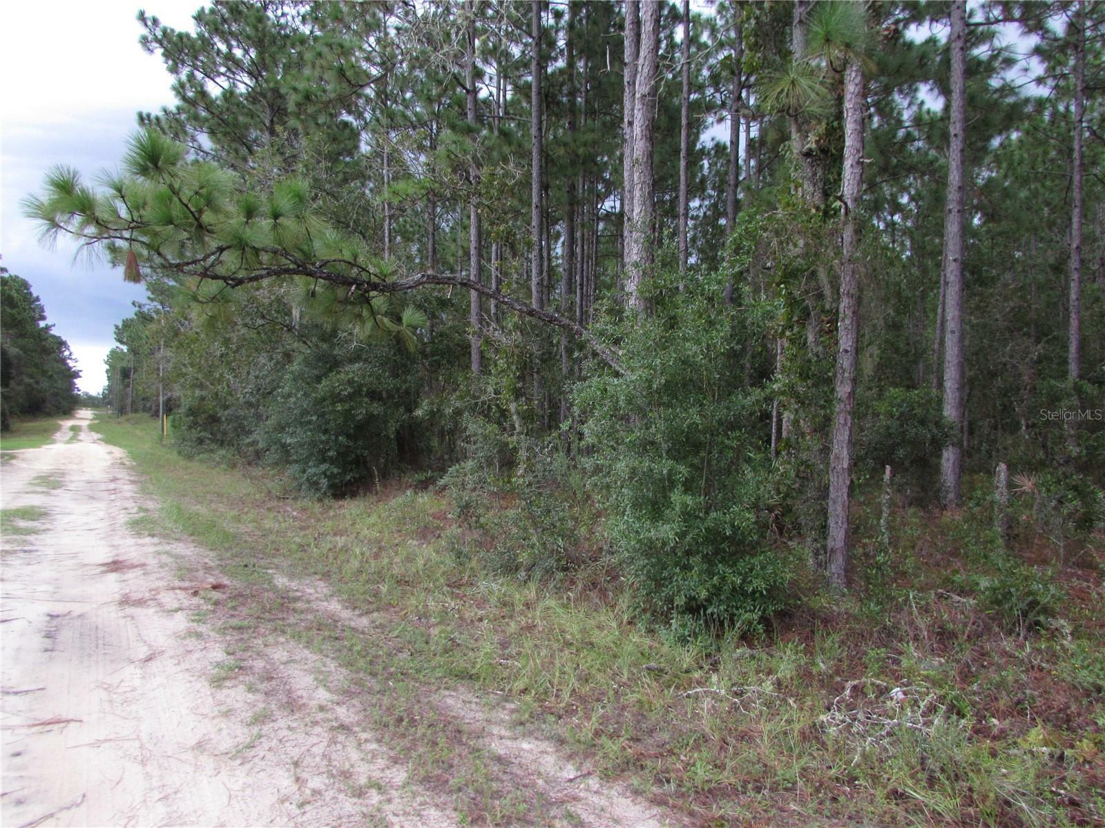 Property Photo:  Lot 11 SW 96th Lane  FL 34432 