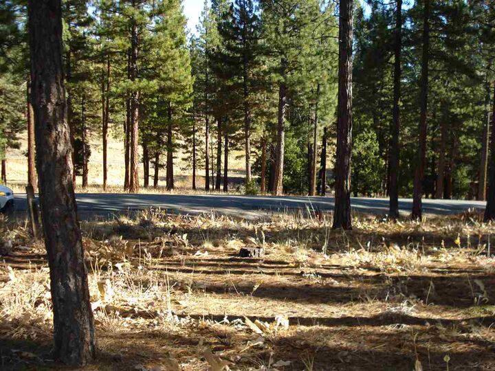 Property Photo: 369 Big Grizzly CA 96122