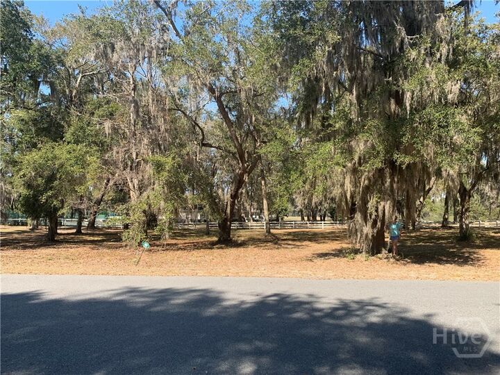 Property Photo:  .50 Ac Hidden Lagoon Lane NE  GA 31331 