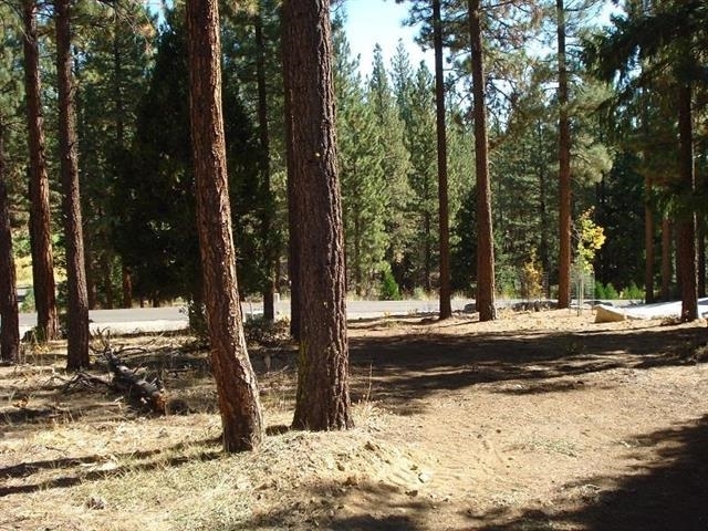 Property Photo:  357 Big Grizzly  CA 96122 