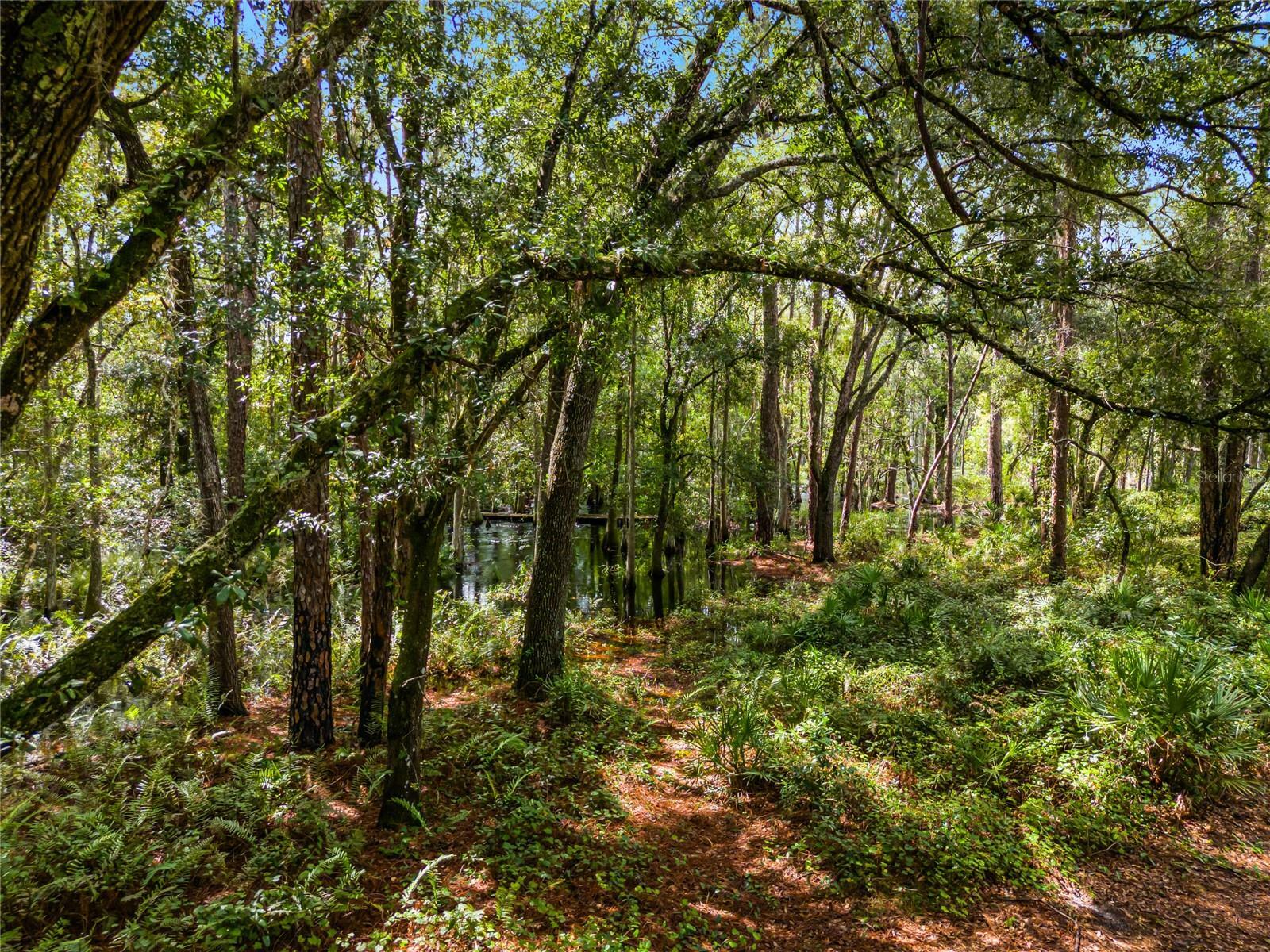 Property Photo:  5430 Lake Nellie Road  FL 34714 