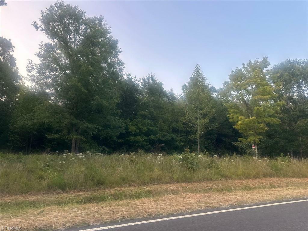 Lot 2 Frank Joyce Road  Sandy Ridge NC 27046 photo