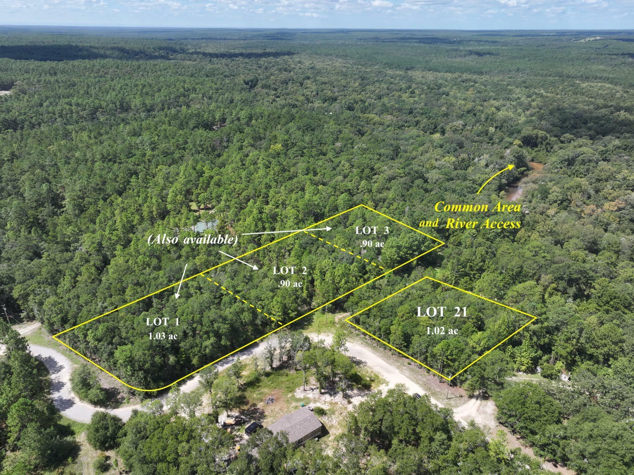 Property Photo: Tbd River Loop Drive Lots 1, 2, 3 FL 32536