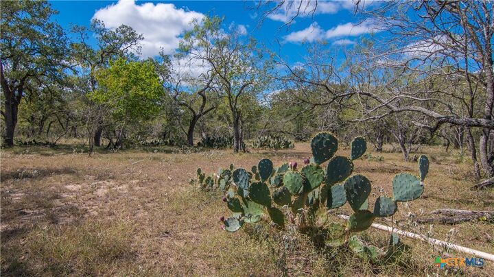 Property Photo:  Tbd County Road 434  TX 78160 