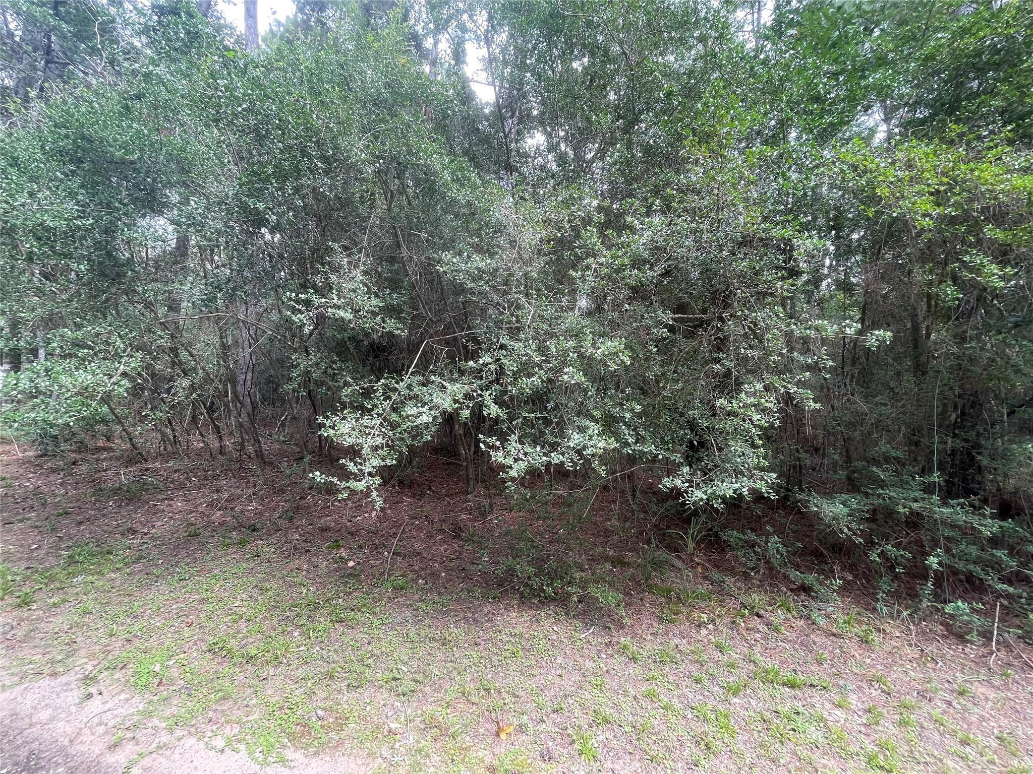 Property Photo: 0 Corolla Road TX 77354