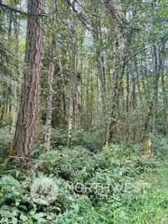 Property Photo:  0 Xxx Goss Lake Road  WA 98260 