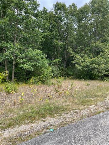 Property Photo:  Lot 1 Renaissance Park  MI 49660 