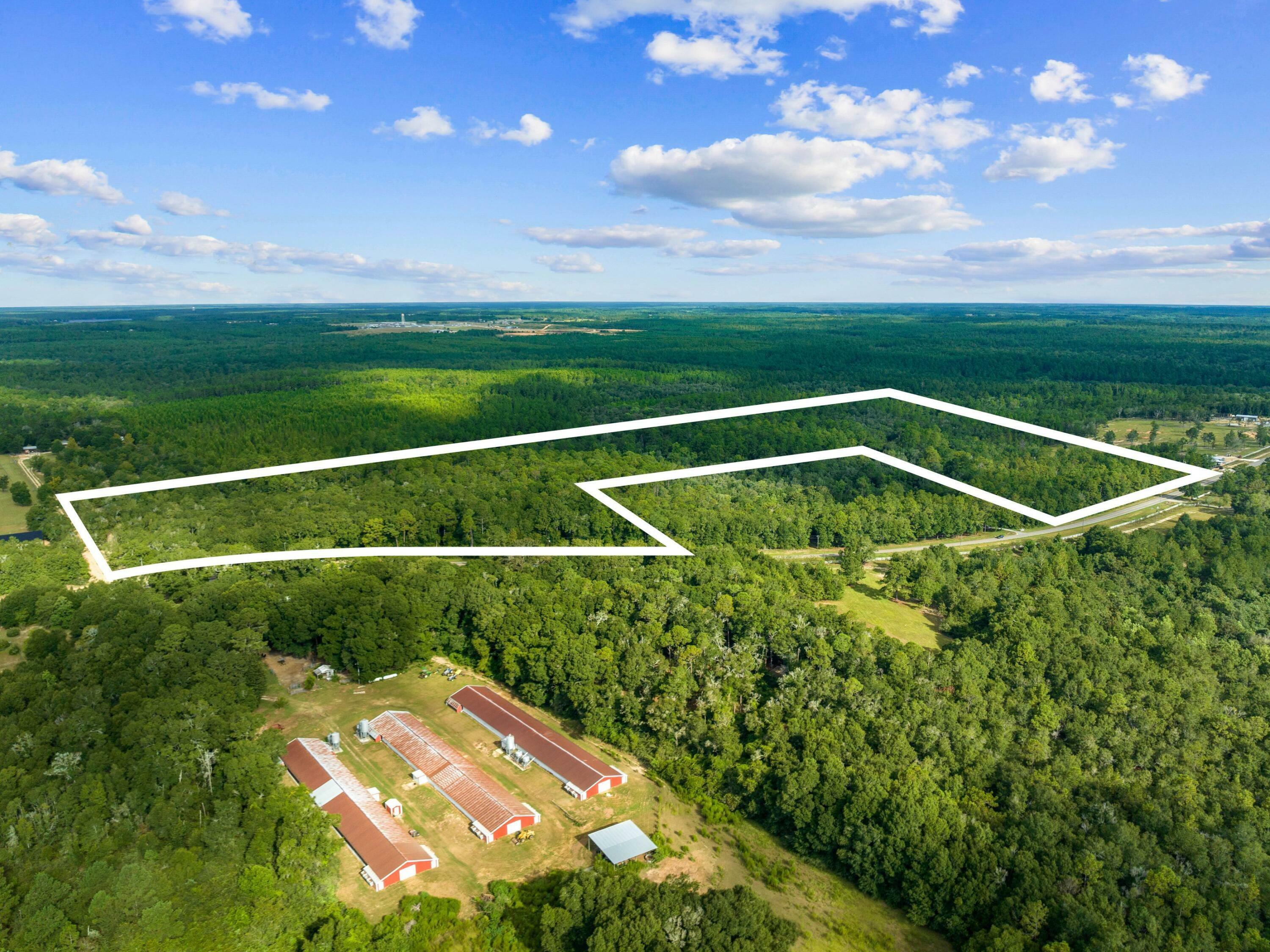 Property Photo:  Tbd N County Highway 183  FL 32433 