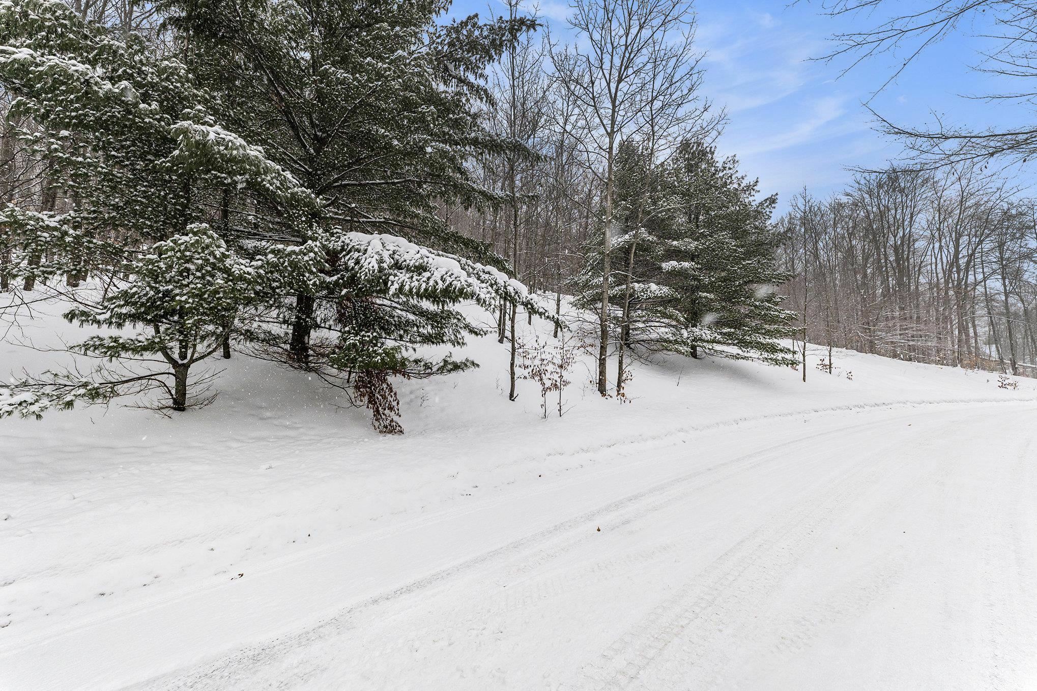 Property Photo:  Lot 12 Mountain Woods Drive  MI 49683 