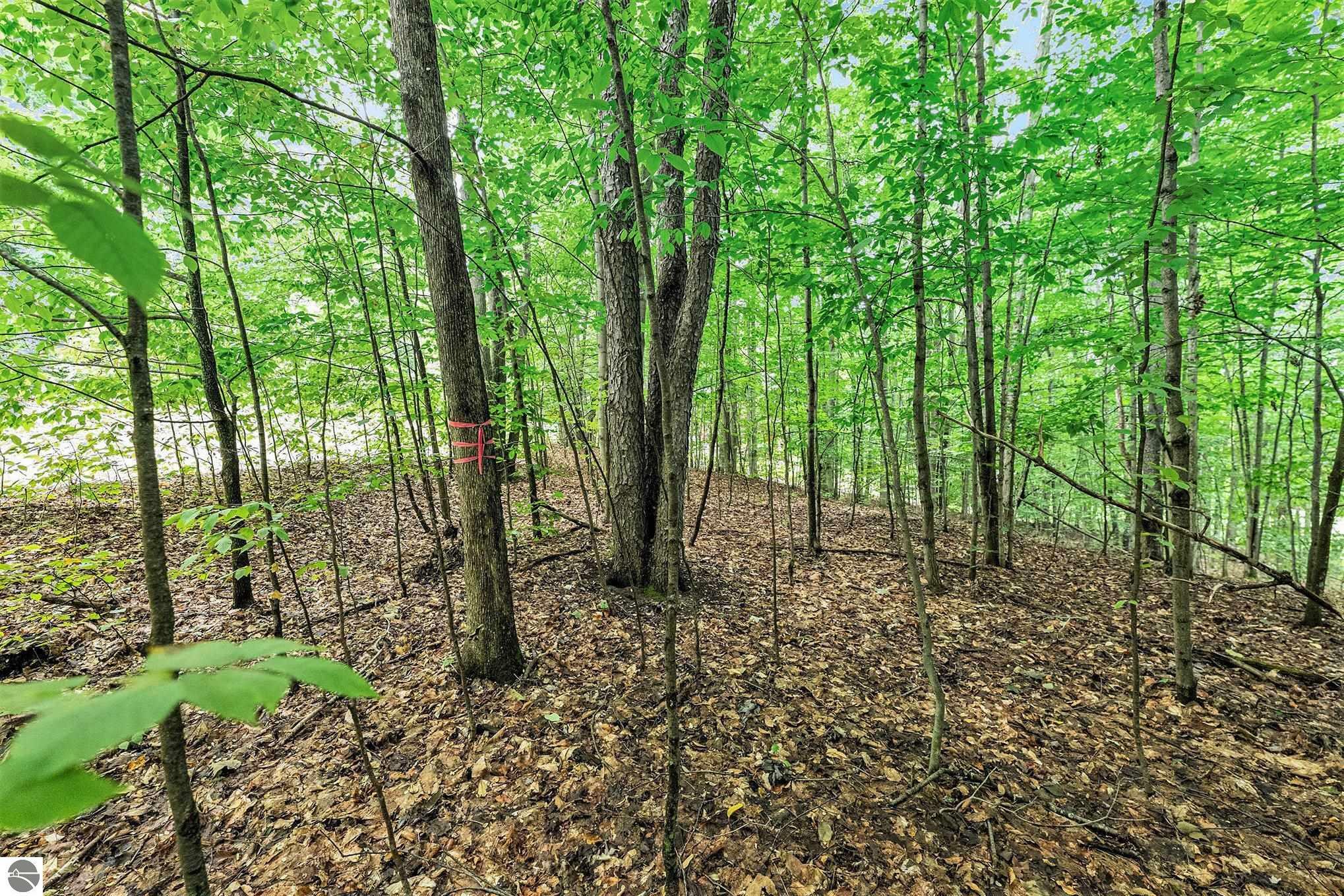 Property Photo:  Lot 42 Mountain Woods Drive  MI 49683 