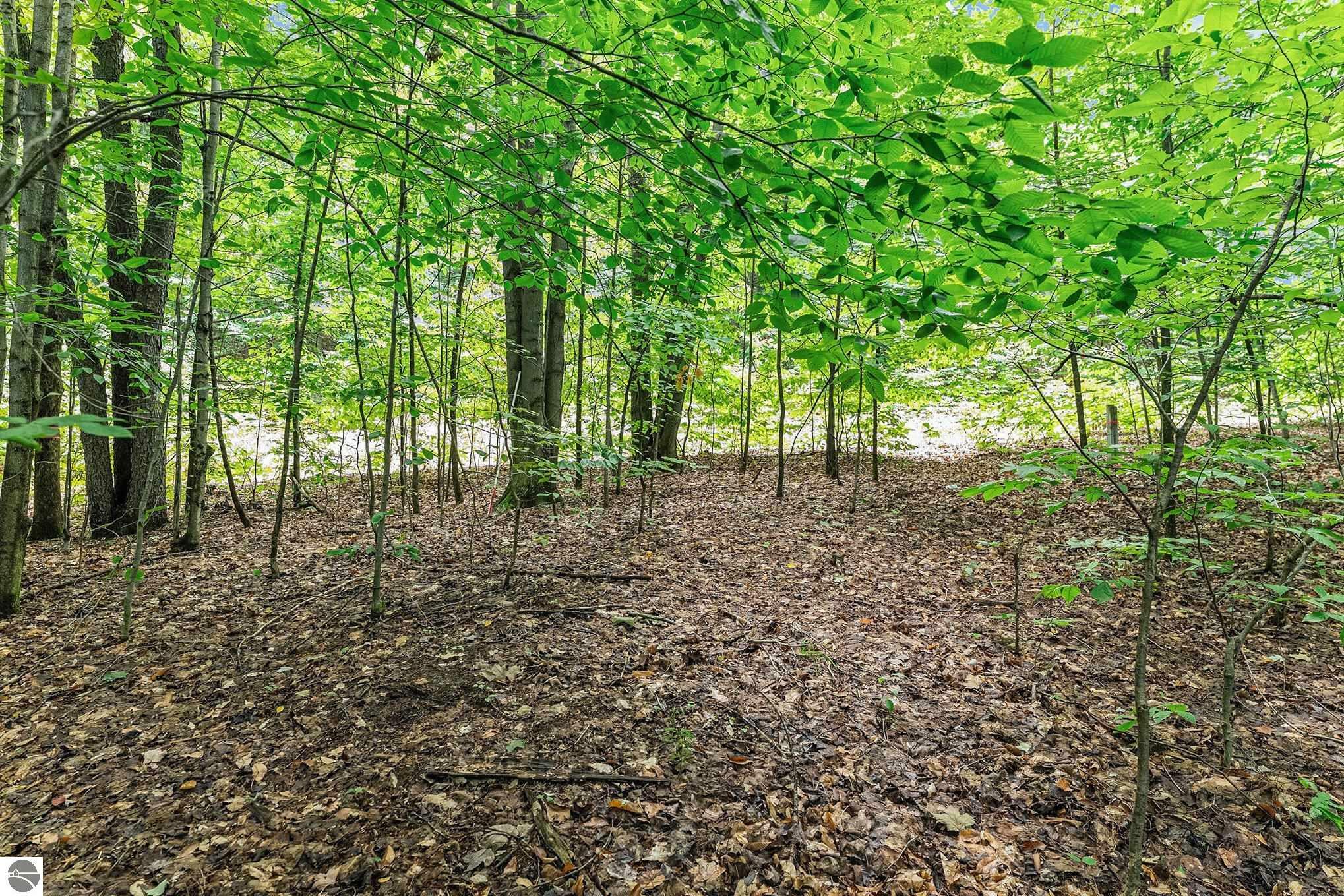 Property Photo:  Lot 12 Mountain Woods Drive  MI 49683 