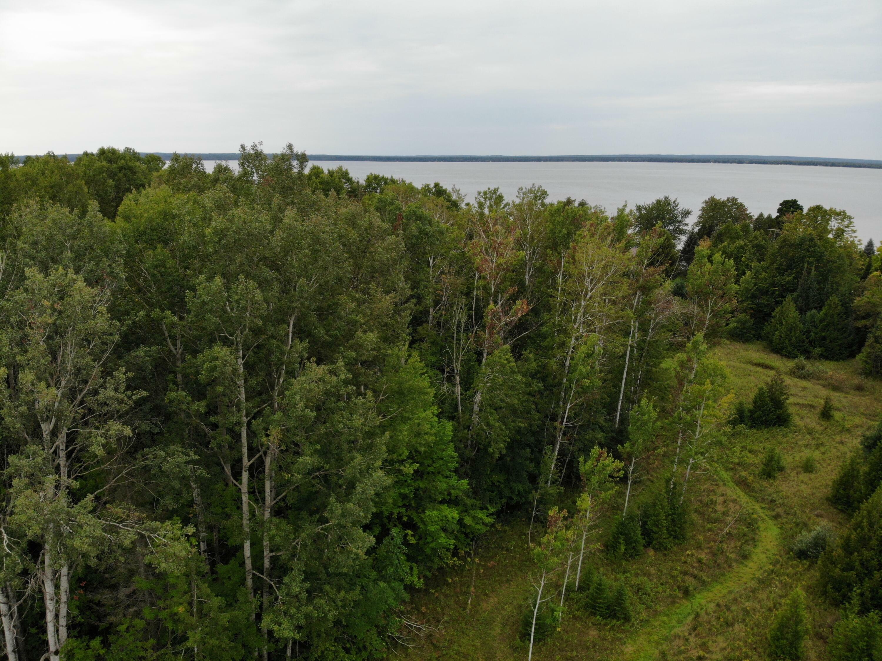 Property Photo:  Bluffs Highway  MI 49765 