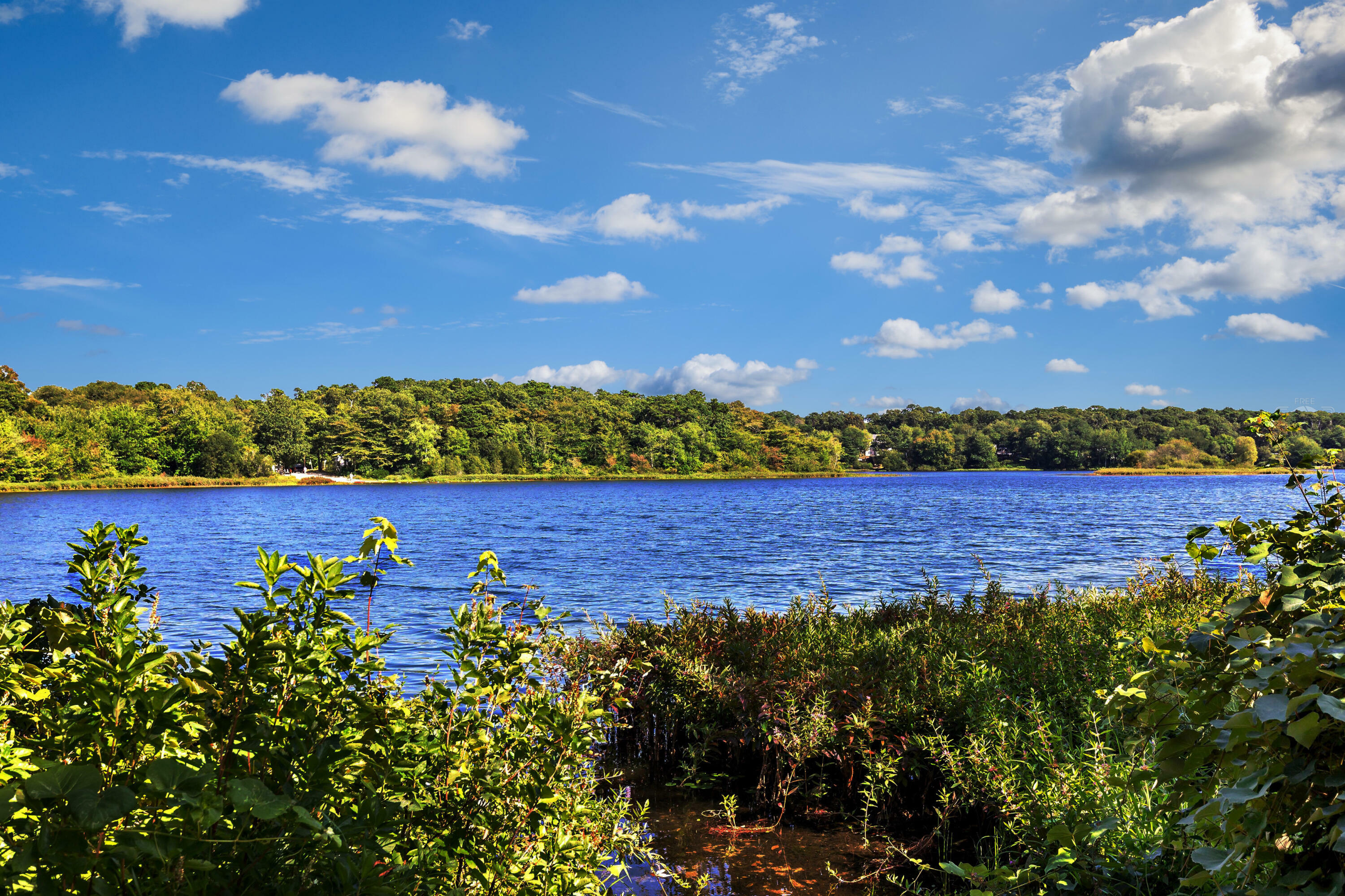 Property Photo:  169 Monument Road  MA 02653 