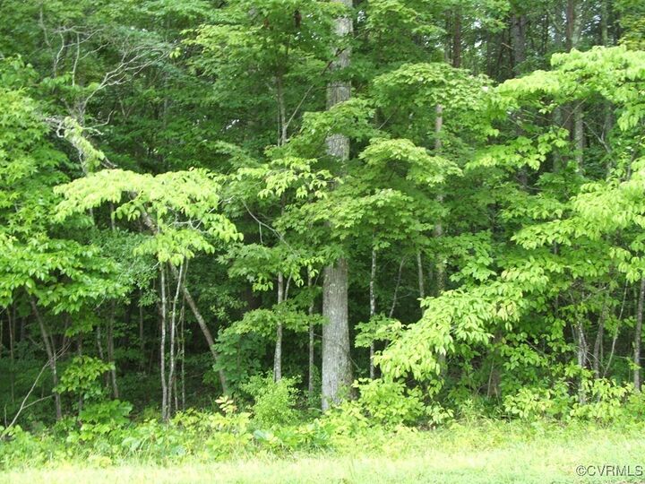 0 Mossingford Road  Saxe VA 23967 photo