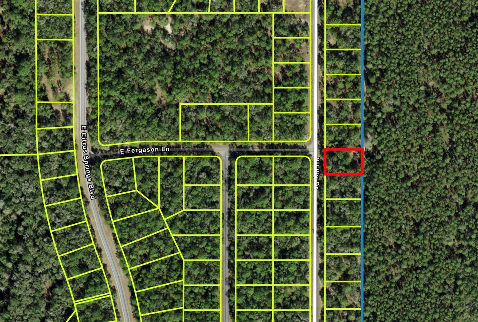 9487 N Lily Drive  Citrus Springs FL 34434 photo