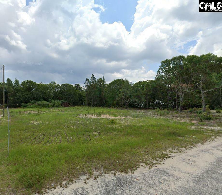 Property Photo:  131 Calvin Ct.  SC 29172 