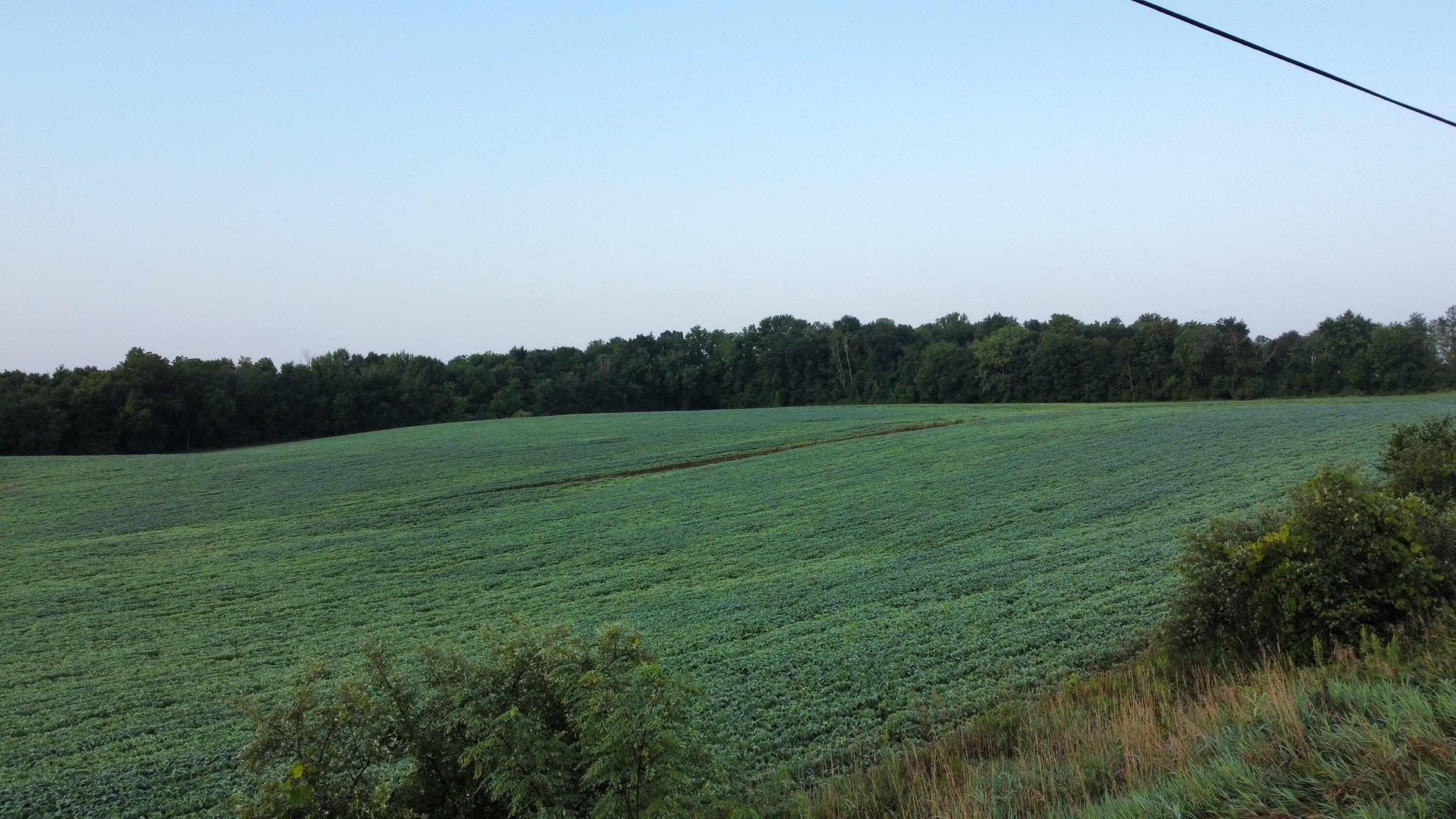 Property Photo:  V/L Reed Road  MI 49107 