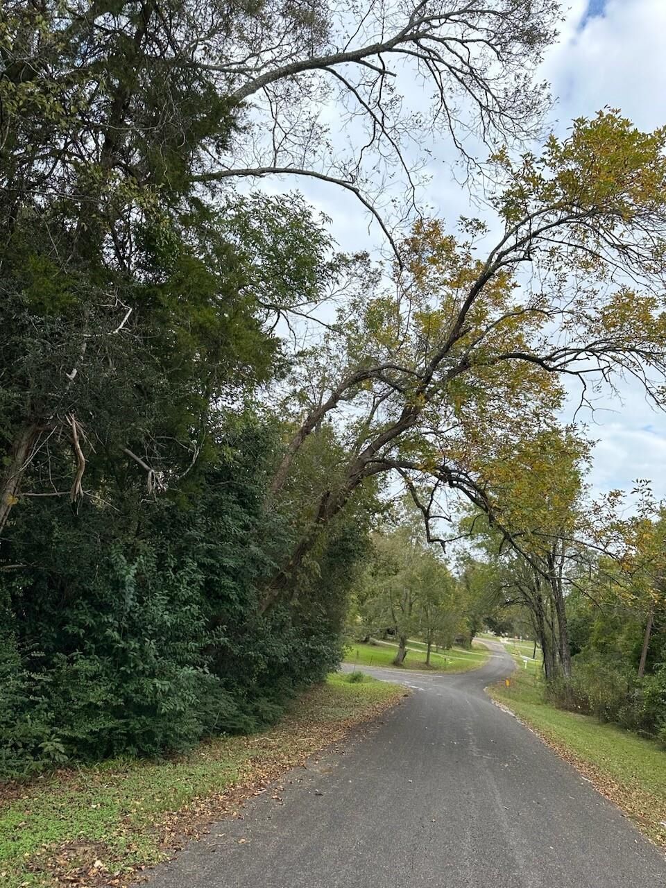 Property Photo: 0 Reeves Cemetery Road TX 77535