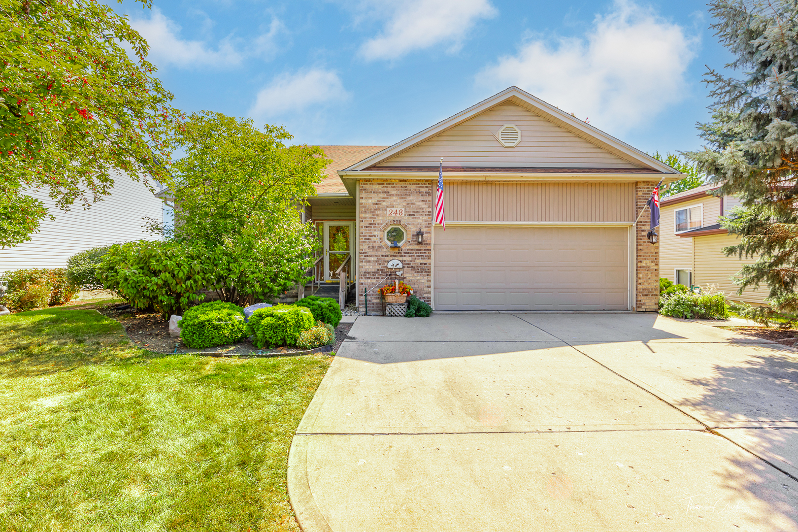 Property Photo:  248 Buli Lane  IL 60440 