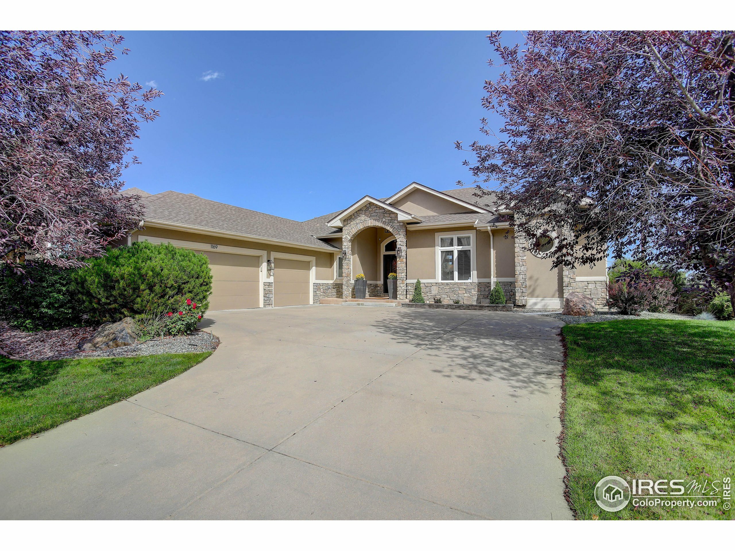 1169 Wyndemere Cir  Longmont CO 80504 photo