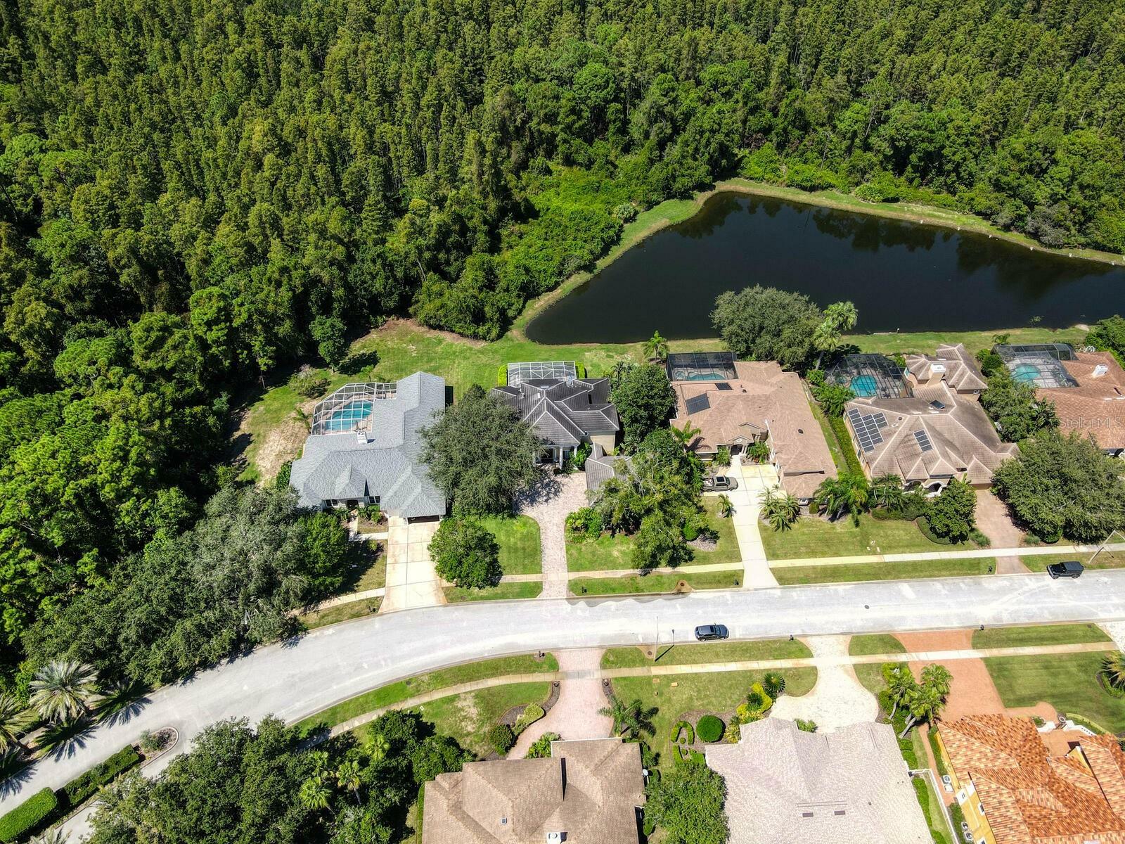 Property Photo:  4848 Quill Court  FL 34685 