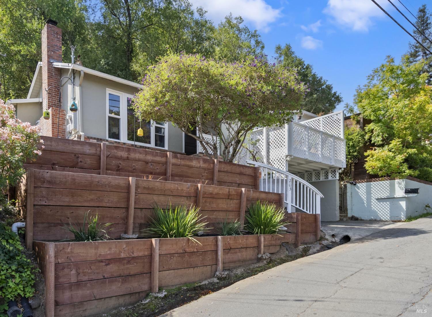 Property Photo:  203 Coleman Drive  CA 94901 