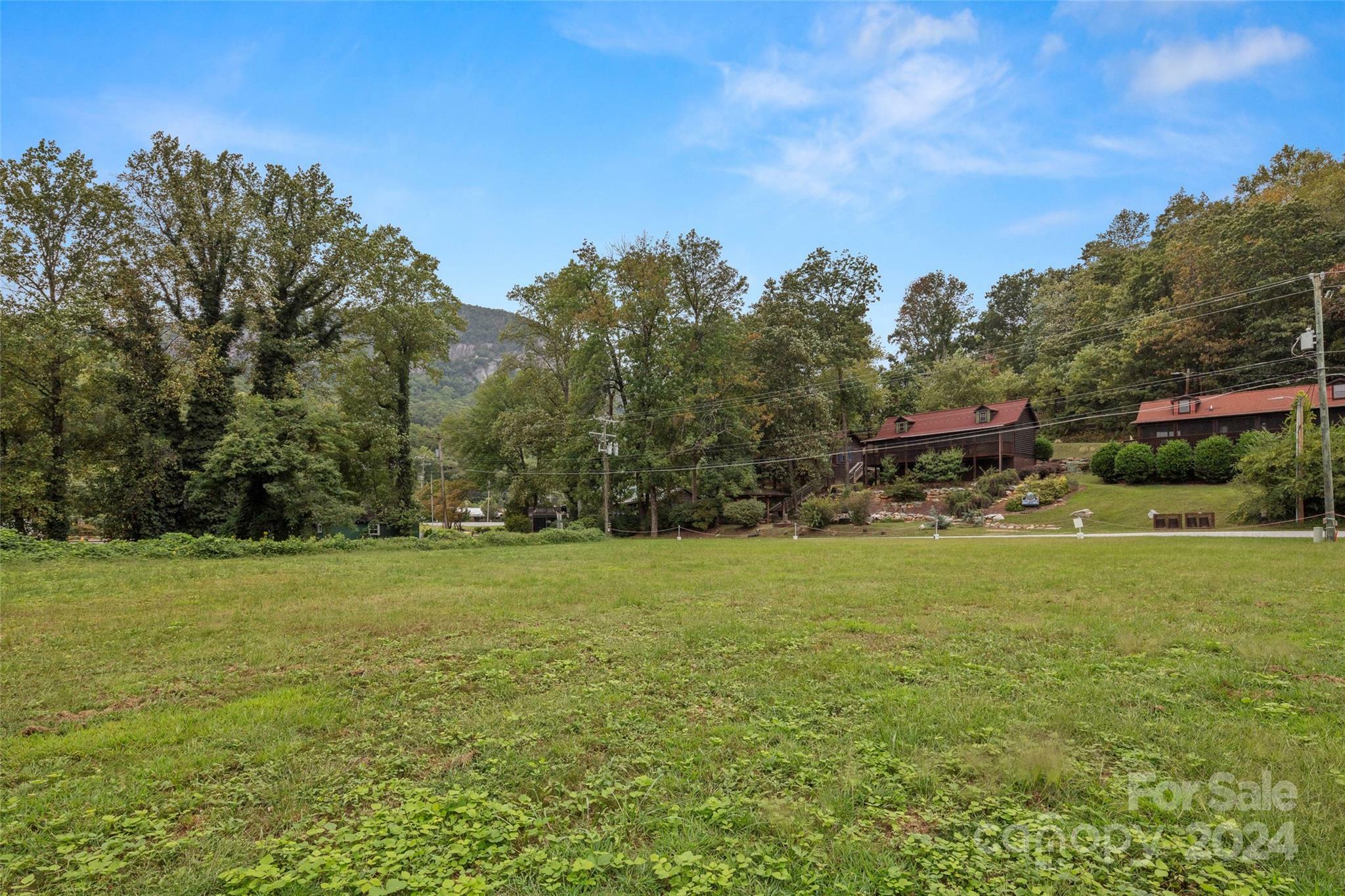 Property Photo:  Lot 1 Boys Camp Road 1  NC 28746 