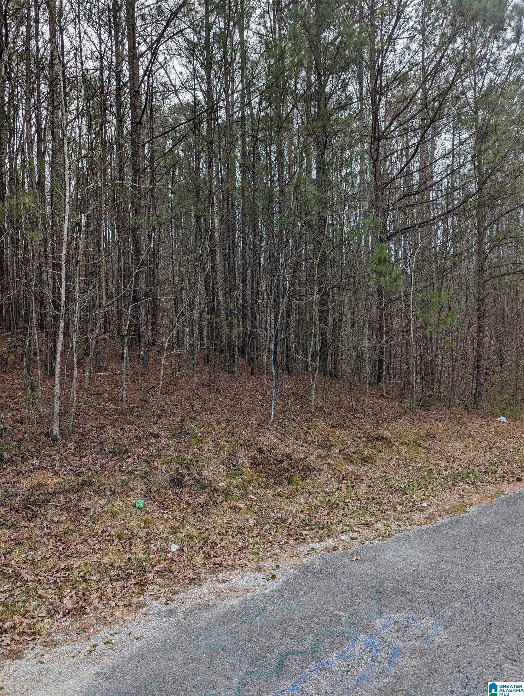 Lot 2 Henderson Road 24/25/26  Odenville AL 35120 photo