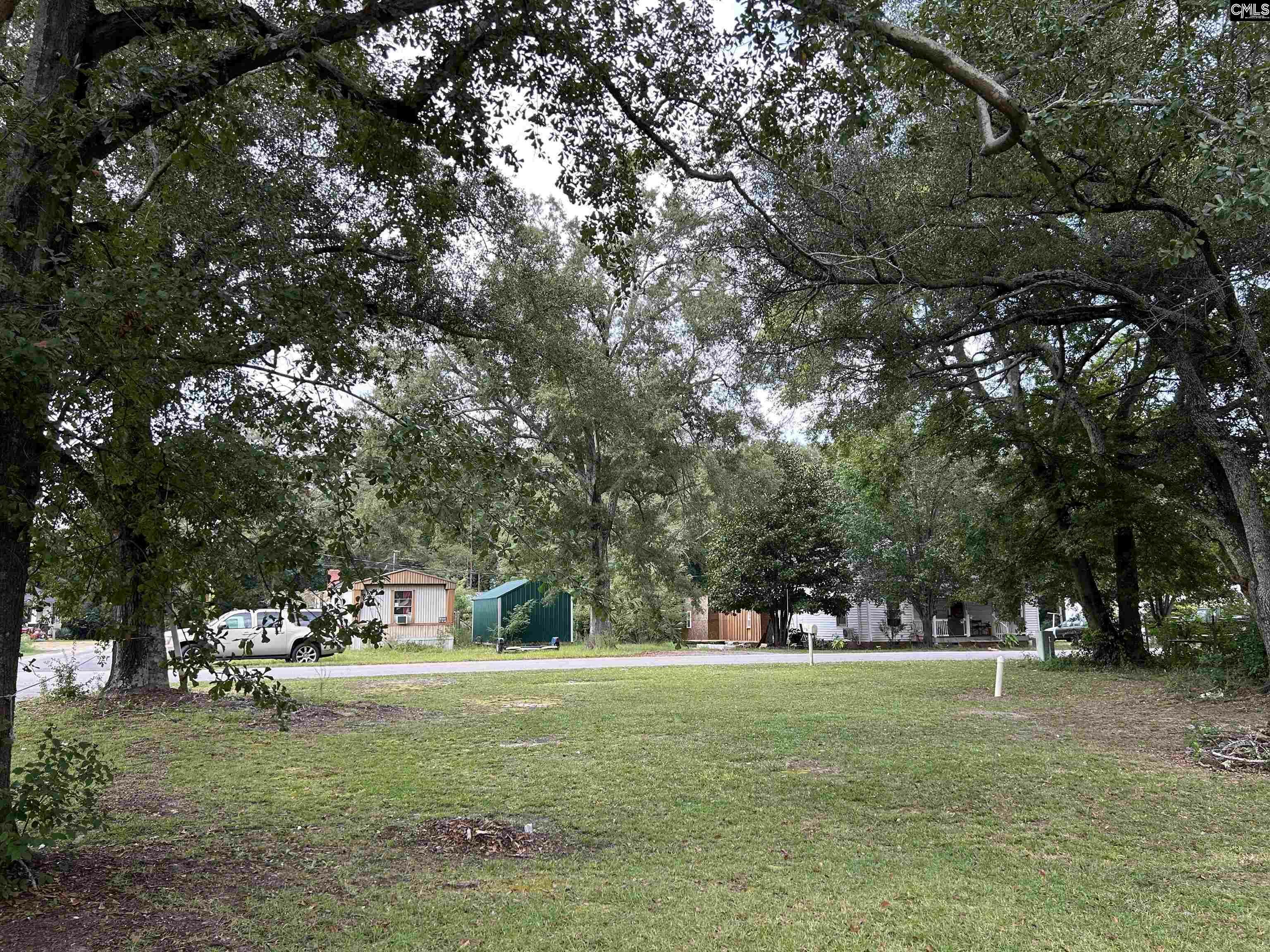 Property Photo:  196 E 3rd  SC 29067 